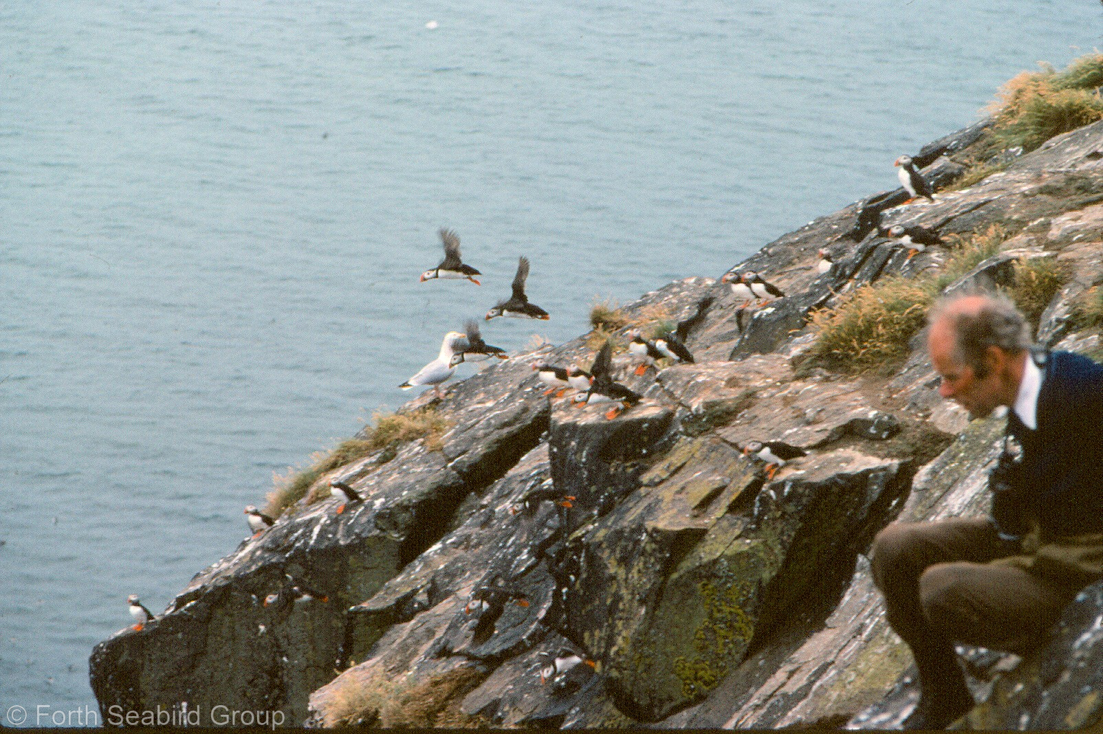 Picture of Bob Smith on Craigleith in 1978