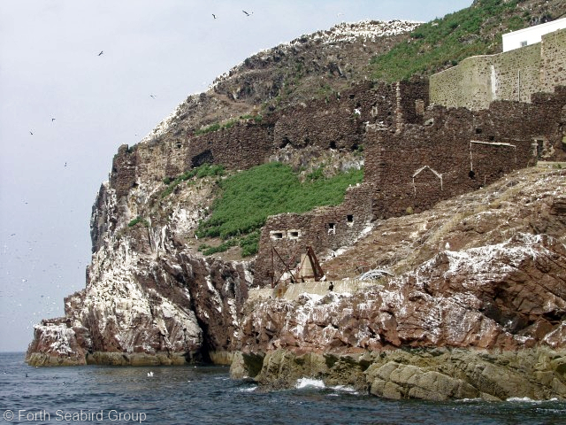 Ruins of the castle which is thought to have been built in about the 16th century