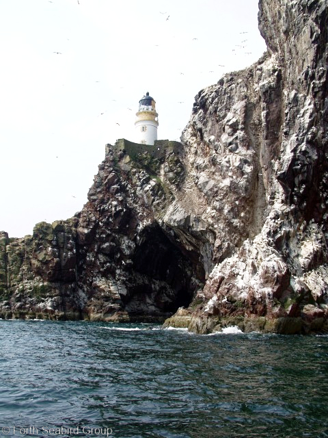 Cliffs on the east of the Bass, showing the entrance to the caves