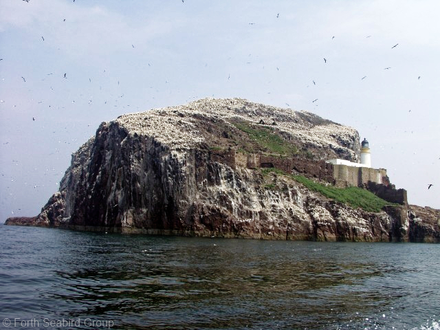 View of Bass Rock from the south west