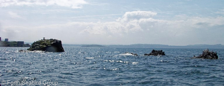 Cow and Calves is a small group of rocks which protrude from the sea just north on Inchmickery