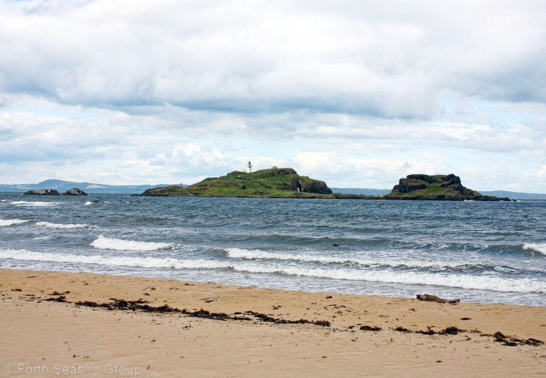 Fidra as seen from Yellowcraig, near Dirleton