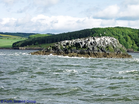 View of Haystack from the south