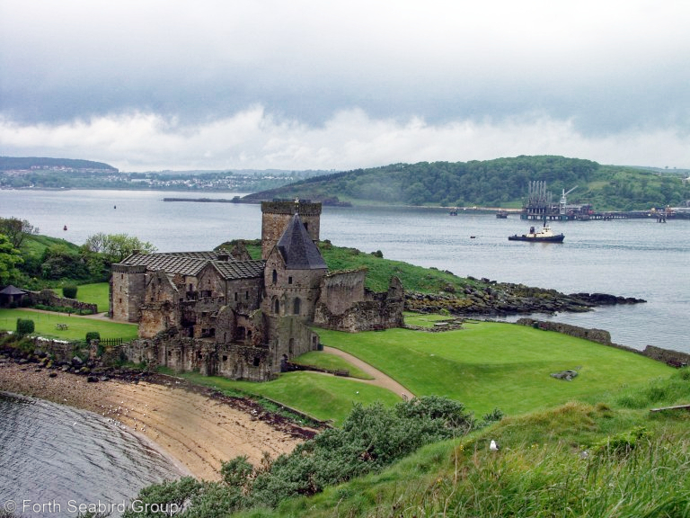 Ruins of St Colm's Abey, Inchcolm