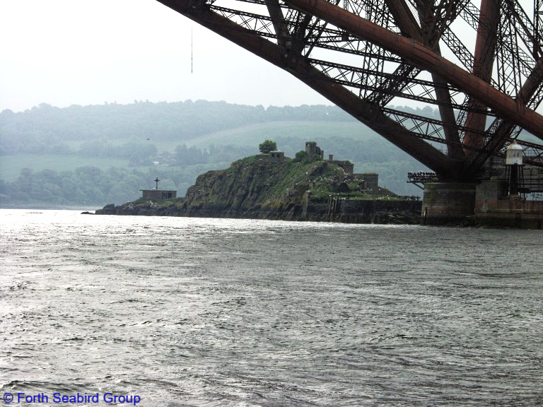 Inchgarvie from the north west