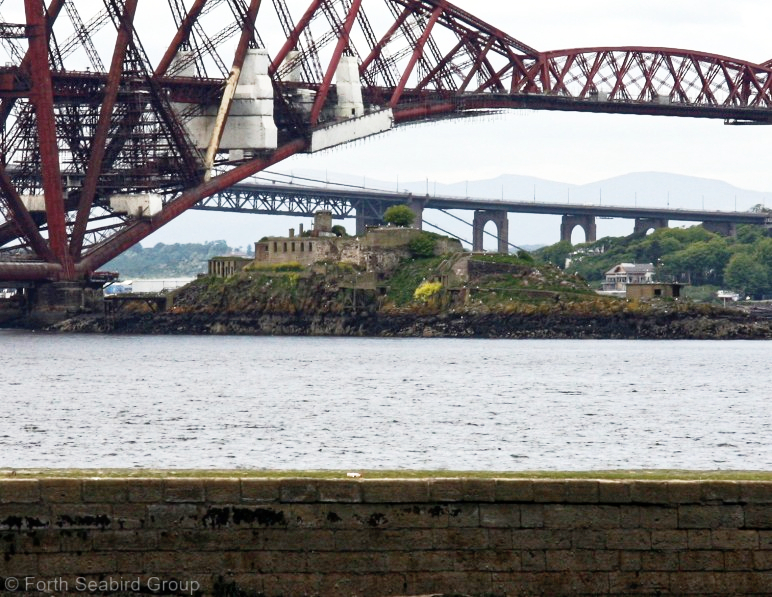 Inchgarvie from Whitehouse Bay, east of South Queensferry