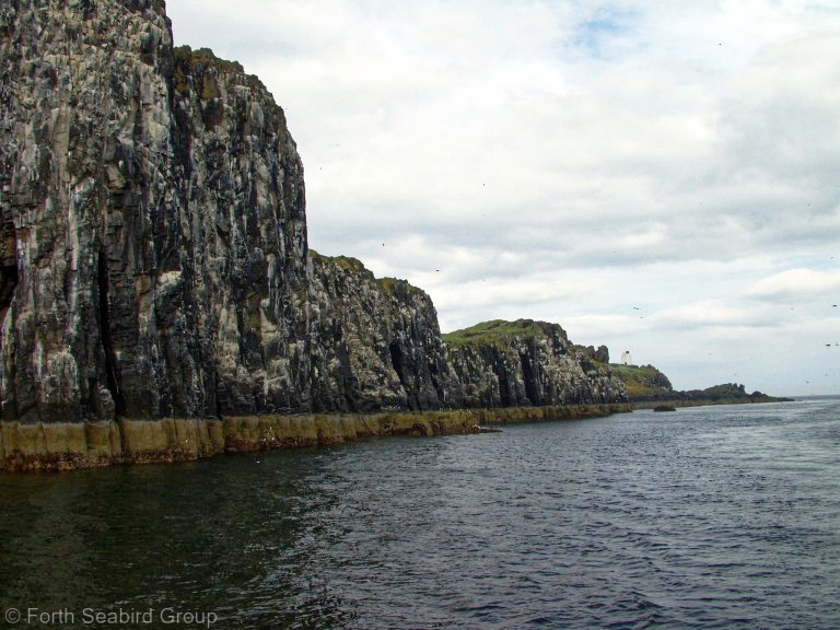 Looking south along the cliffs